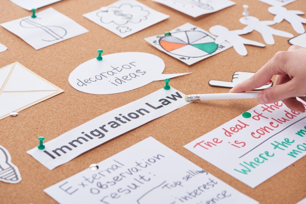 cropped view of woman pointing with pencil on immigration law inscription on cork board